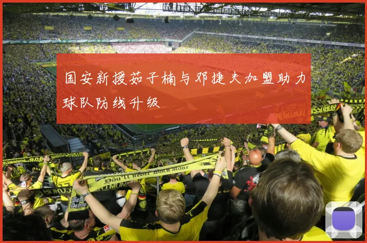 国安新援茹子楠与邓捷夫加盟助力球队防线升级