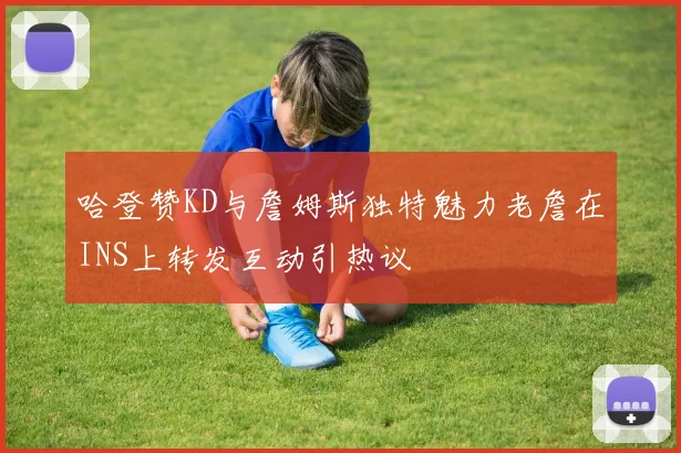 哈登赞KD与詹姆斯独特魅力老詹在INS上转发互动引热议