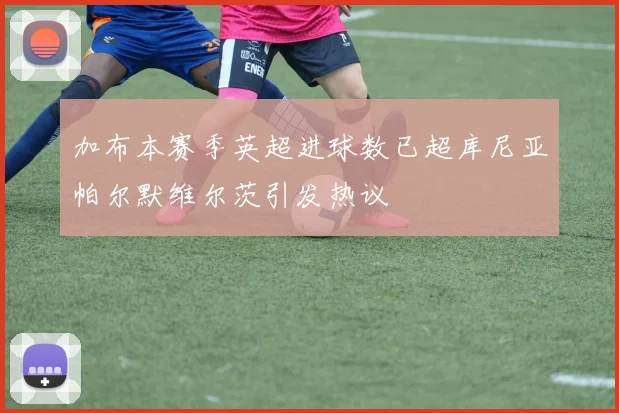 加布本赛季英超进球数已超库尼亚帕尔默维尔茨引发热议