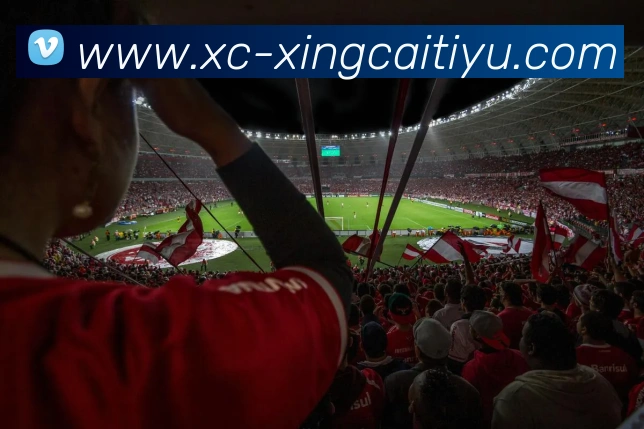 杏彩体育APP 封面图